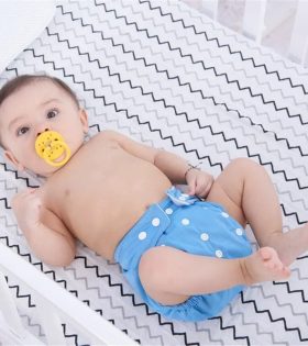 75513503_426424254716201_7117897691610218496_n-280×315